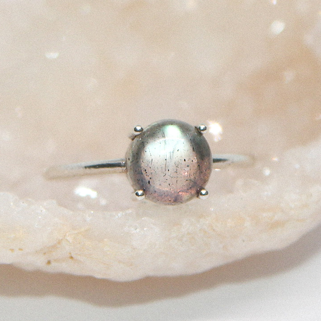 Calliste