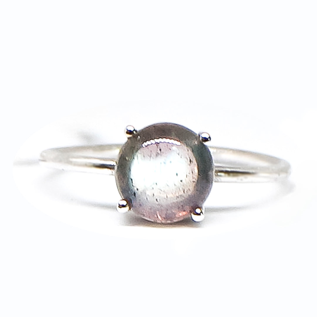 Calliste