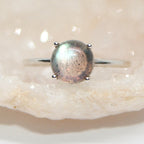 Calliste