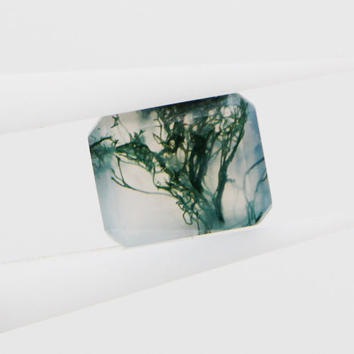 #3 - Emerald Moss Agate